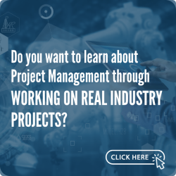 Work on real industry projects